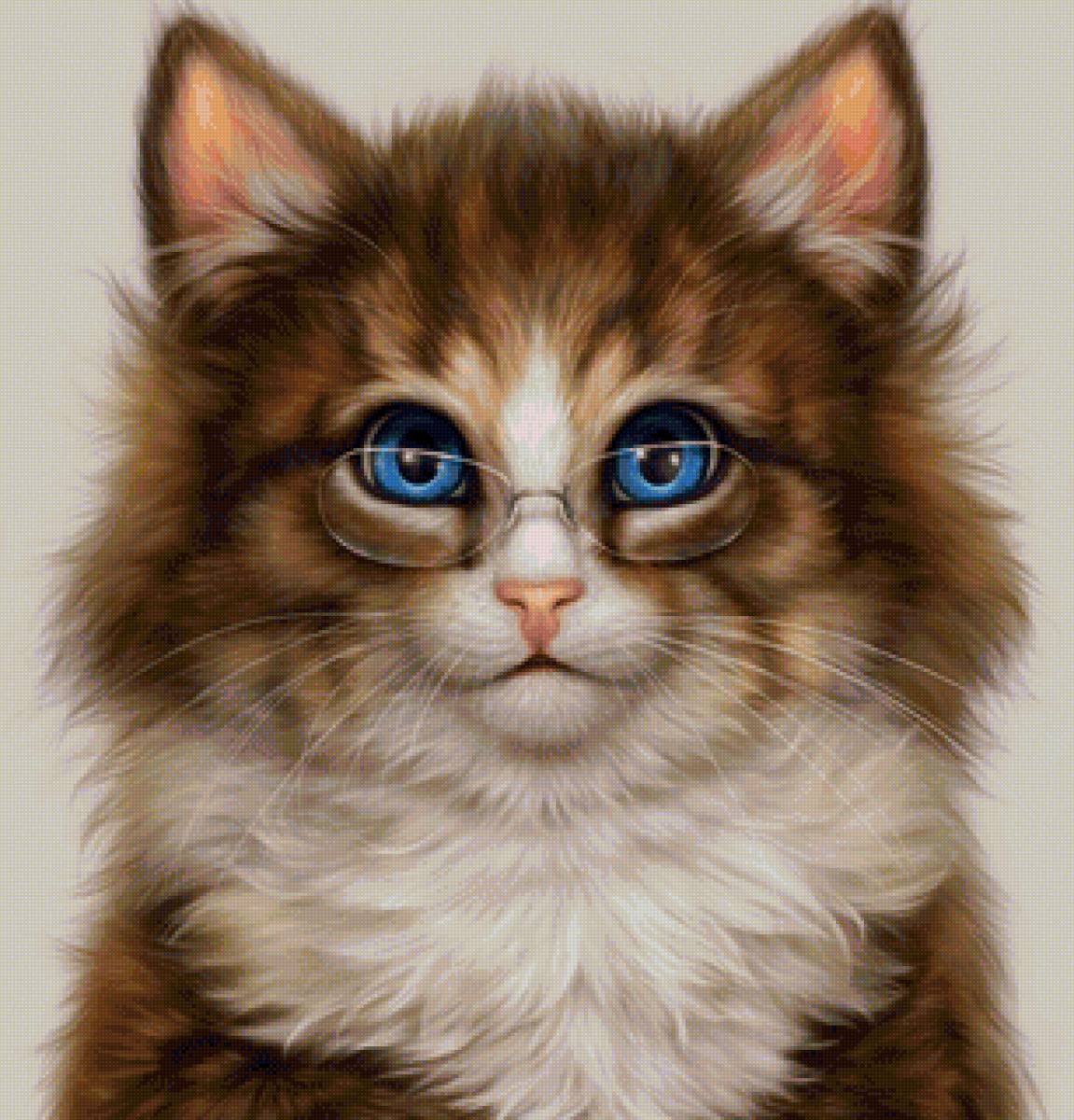 кот - животные, кот, портрет - предпросмотр