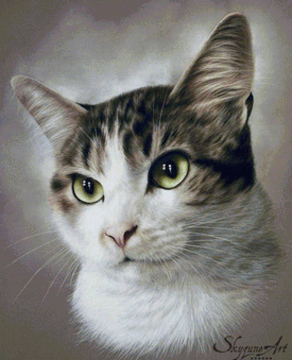 кот - портрет, животные, кот - предпросмотр