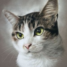 Схема вышивки «кот»