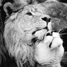 Схема вышивки «львы»