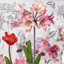 Схема вышивки «цветы»