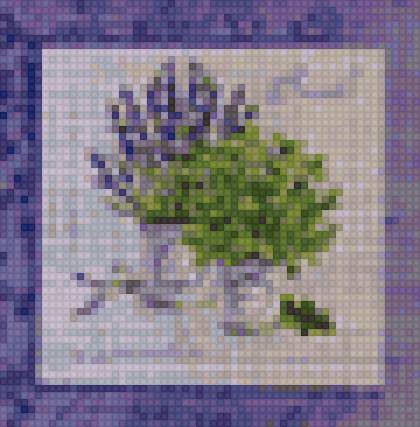 Травы Прованс - прованс, лаванда - предпросмотр