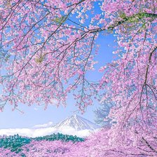 Схема вышивки «paisaje oriental»