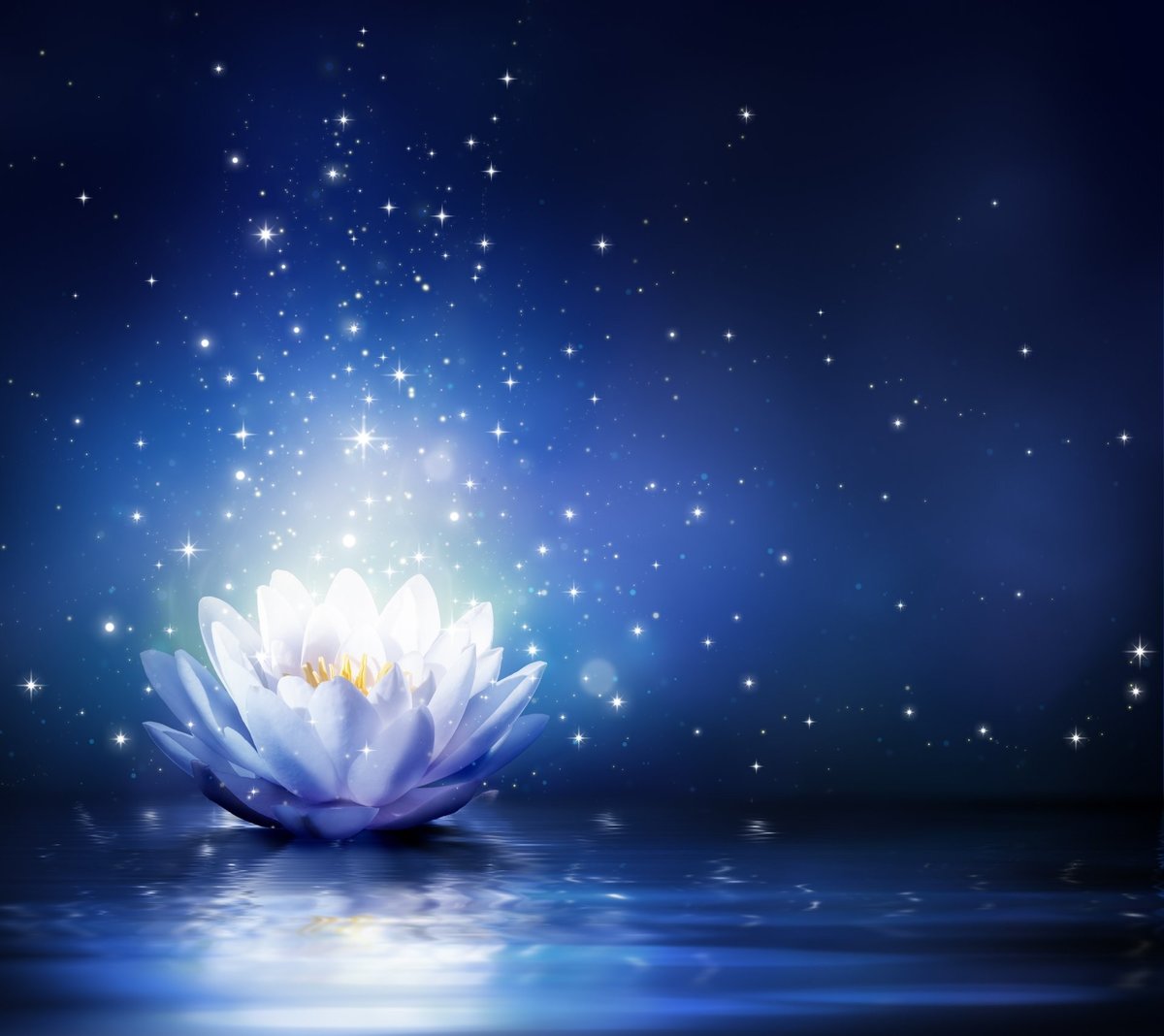 Лотос - водная линия, лилия, кувшинка, лотос - оригинал