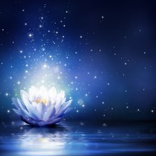 Схема вышивки «Лотос»