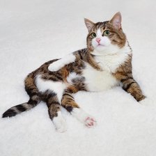 Схема вышивки «Не мешай»