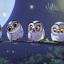 Схема вышивки «Совушки»