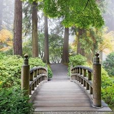 Схема вышивки «природа»