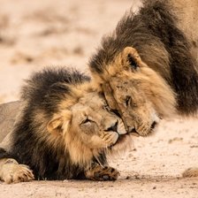 Схема вышивки «№2298385»