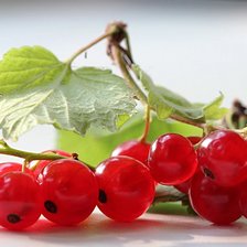 Схема вышивки «Смородина»