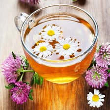 Схема вышивки «Ромашковый чай»