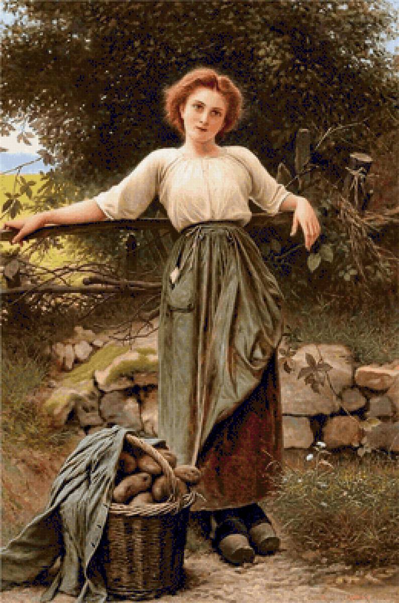 dame - предпросмотр