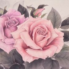 Схема вышивки «Розы»