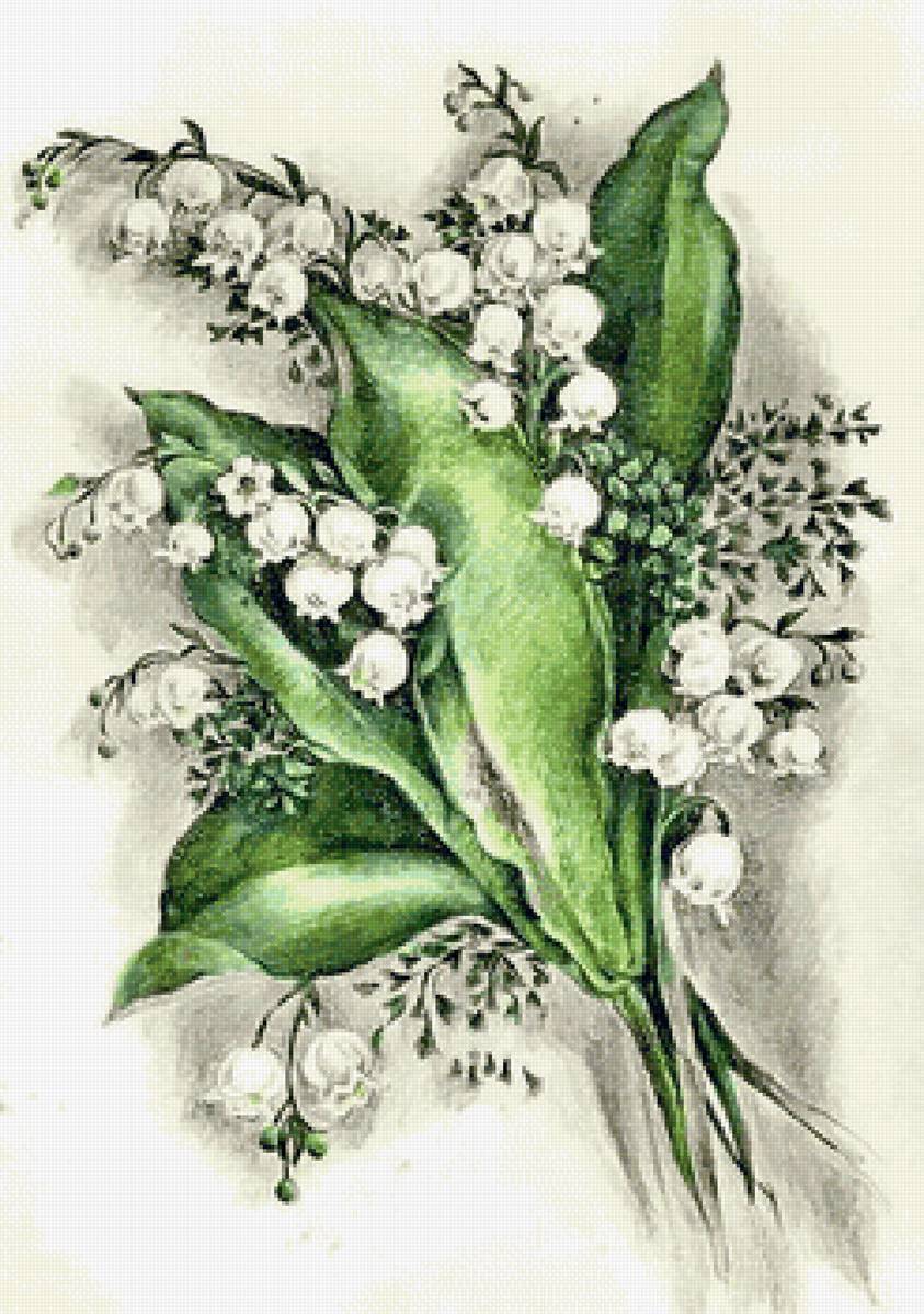 Ландыши - предпросмотр