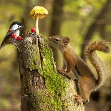 Схема вышивки «свидание»