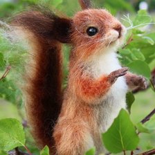 Схема вышивки «белка»