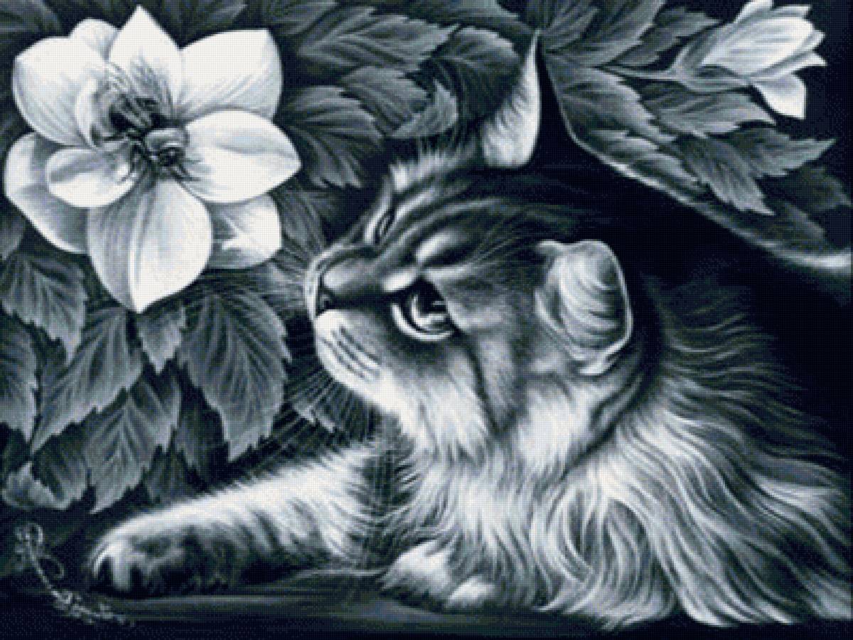 Романтик - предпросмотр