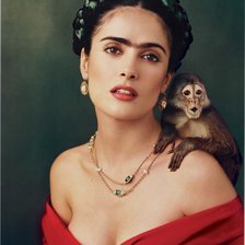 Схема вышивки «С. Хайек»