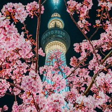 Схема вышивки «2020 Tokio»