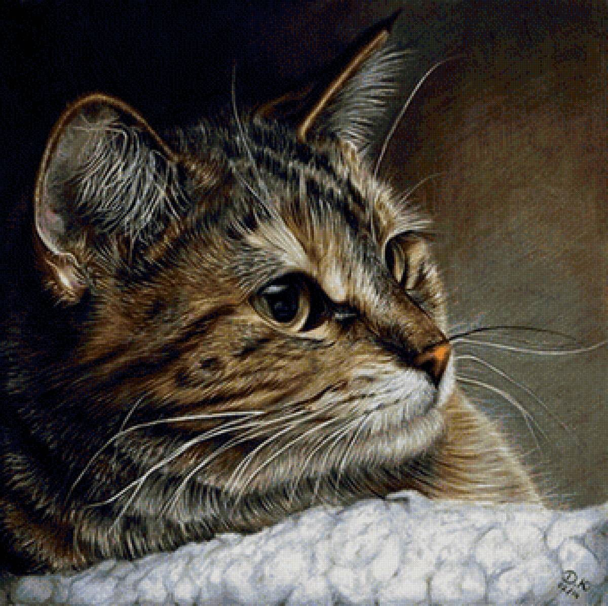 кот - животные, кот, портрет - предпросмотр