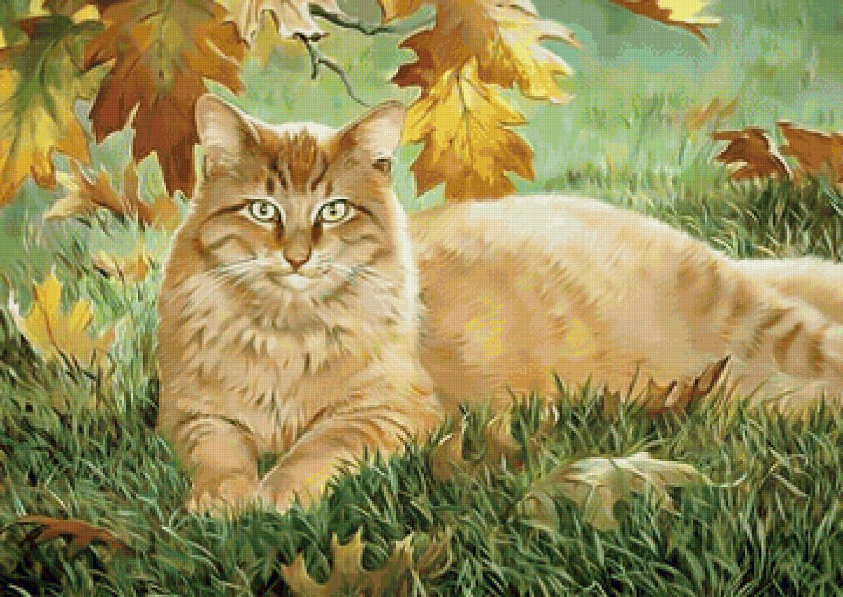 кот - животные, кот, портрет - предпросмотр