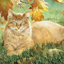 Схема вышивки «кот»