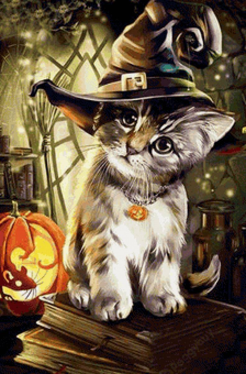 кот - животные, портрет, кот - предпросмотр