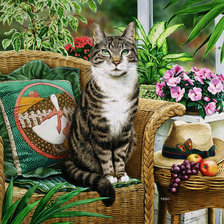 Схема вышивки «кот»