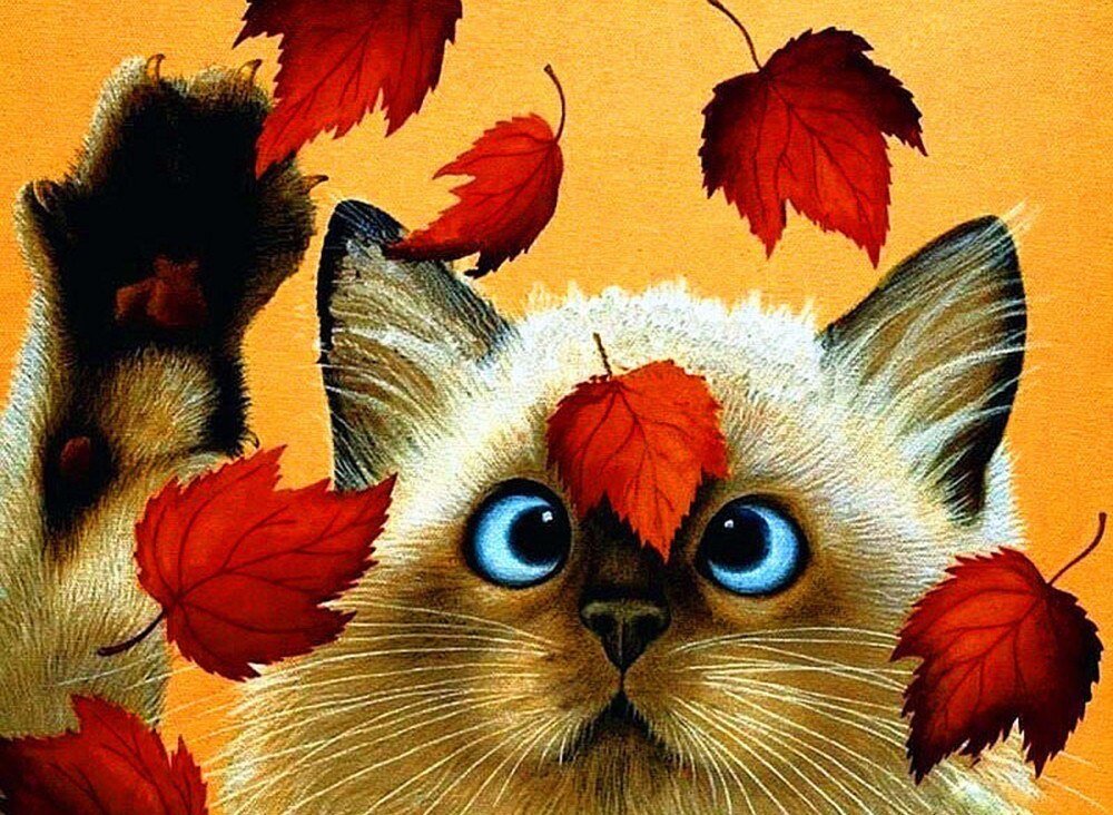 кот - кот, животные, портрет - оригинал