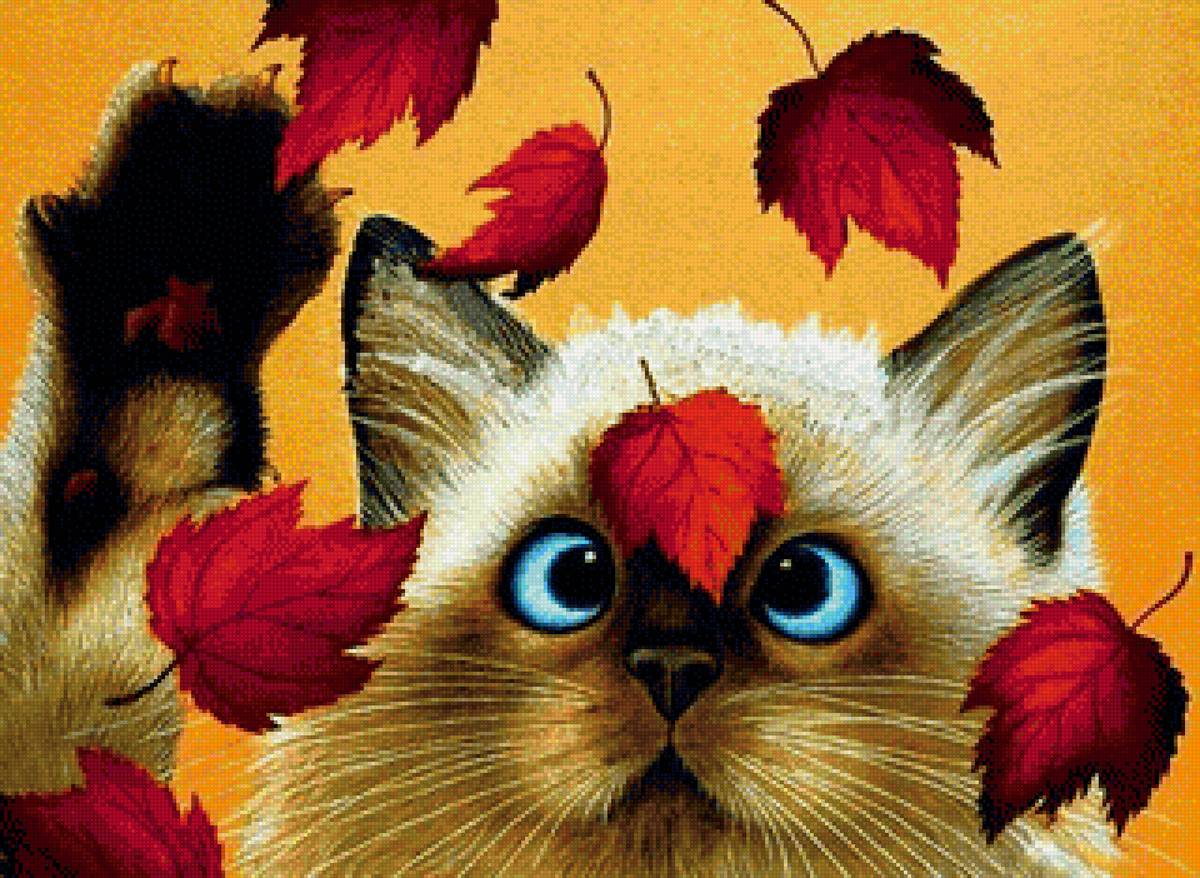 кот - животные, кот, портрет - предпросмотр