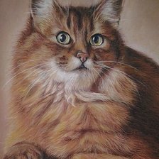 Схема вышивки «кот»