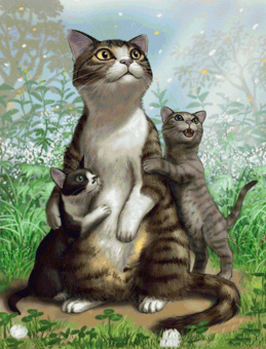 кот - животные, кот, портрет - предпросмотр