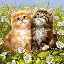 Схема вышивки «кот»