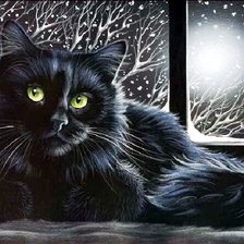 Схема вышивки «кот»