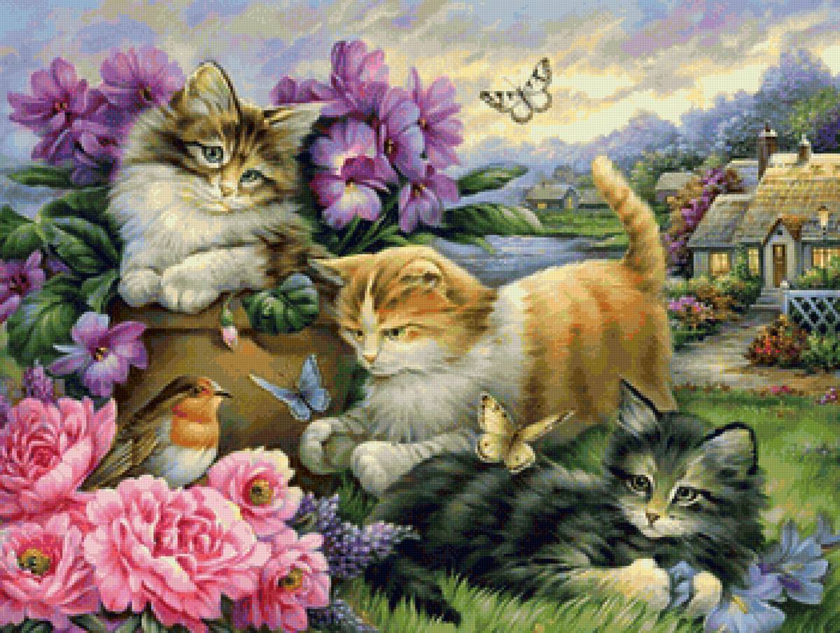 кот - кот, животные, портрет - предпросмотр