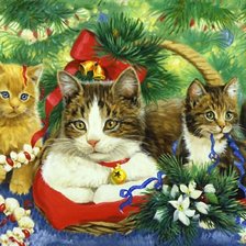 Схема вышивки «кот»