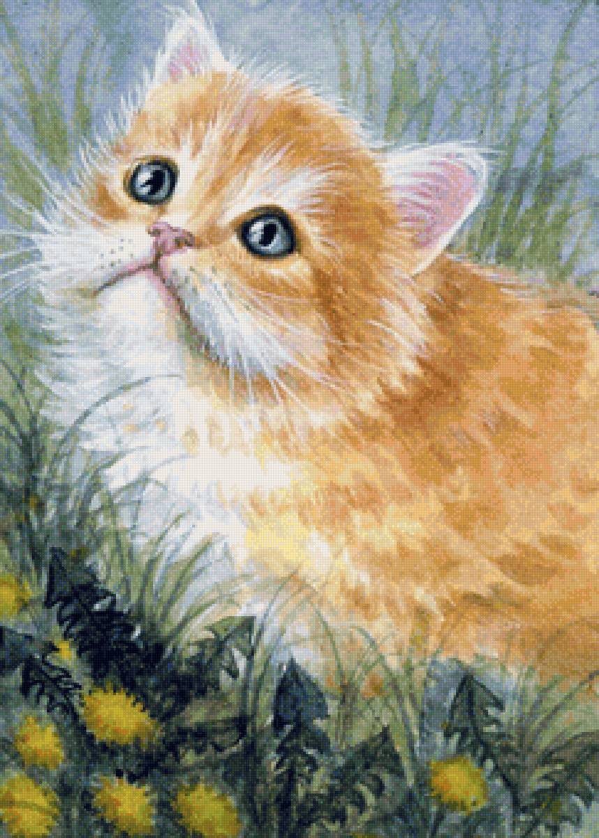 кот - животные, портрет, кот - предпросмотр