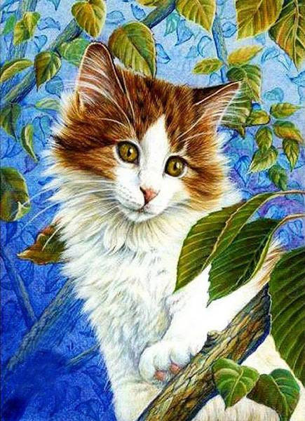 кот - животные, кот, портрет - оригинал