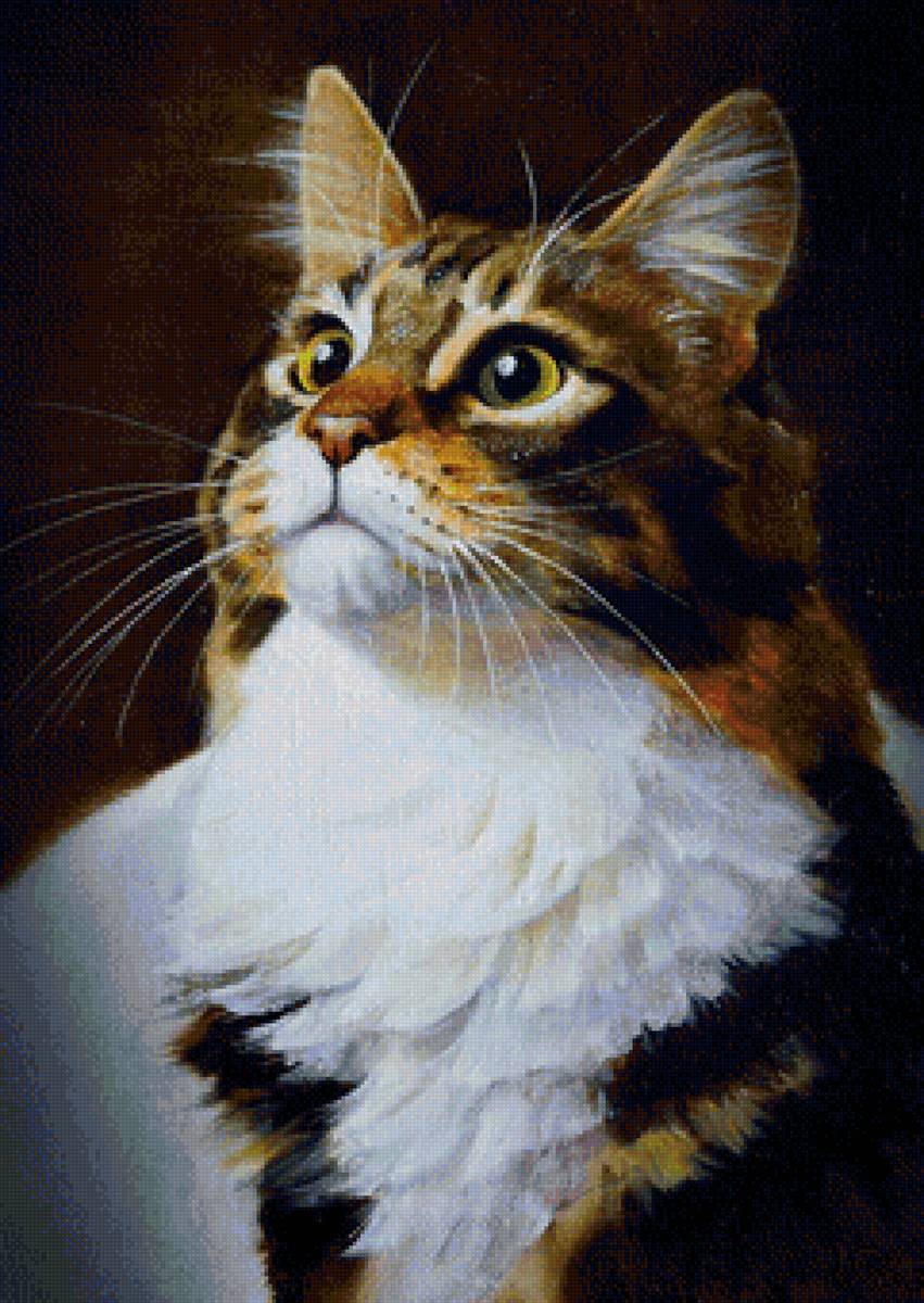 кот - портрет, животные, кот - предпросмотр