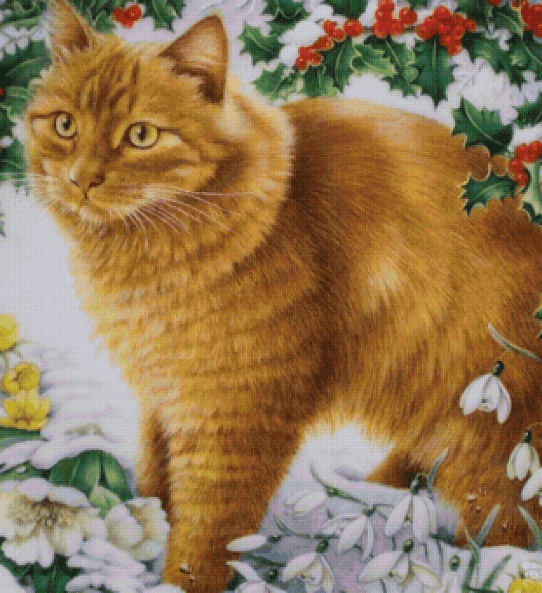 кот - кот, животные, портрет - предпросмотр