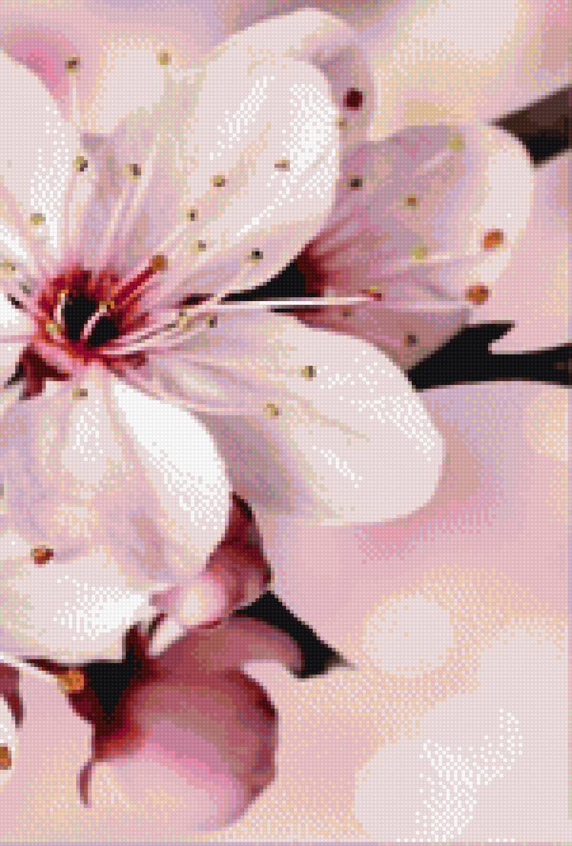 ТРИПТИХ САКУРА 2 - denecs - предпросмотр