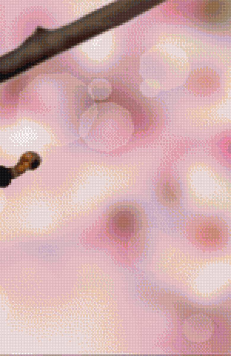 ТРИПТИХ САКУРА 3 - denecs - предпросмотр