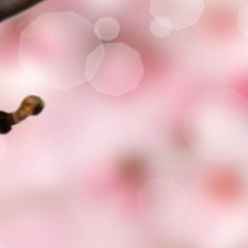 Схема вышивки «ТРИПТИХ САКУРА 3»