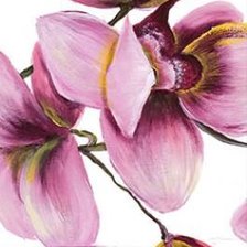 Схема вышивки «ТРИПТИХ ОРХИДЕЯ 2»