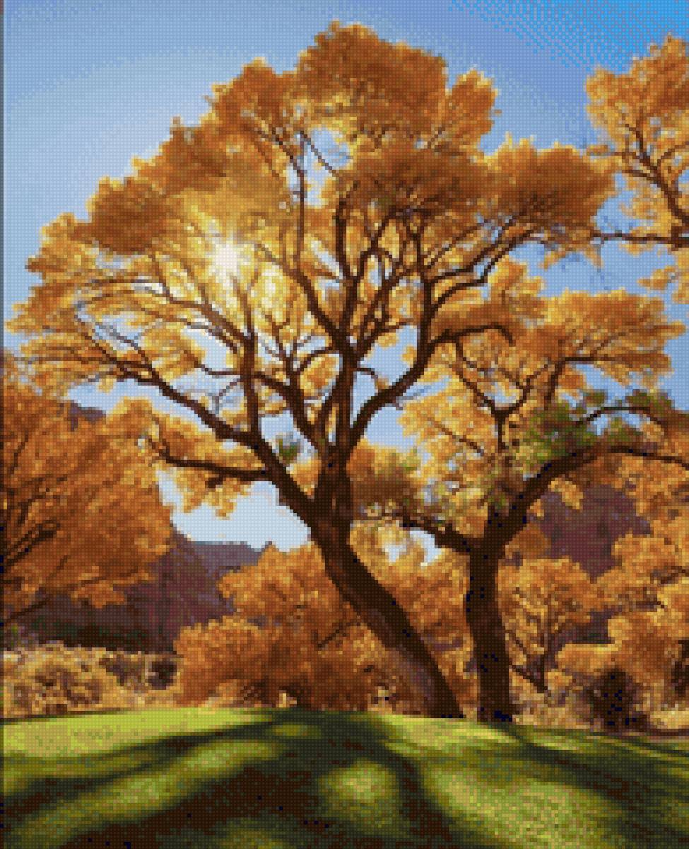 Солнечный день - солн, дерево - предпросмотр