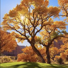 Схема вышивки «Солнечный день»