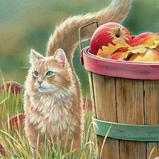 Схема вышивки «№2300385»