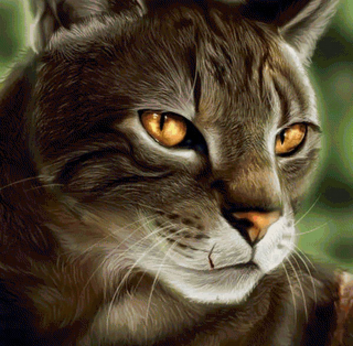 кот - портрет, животные, кот - предпросмотр