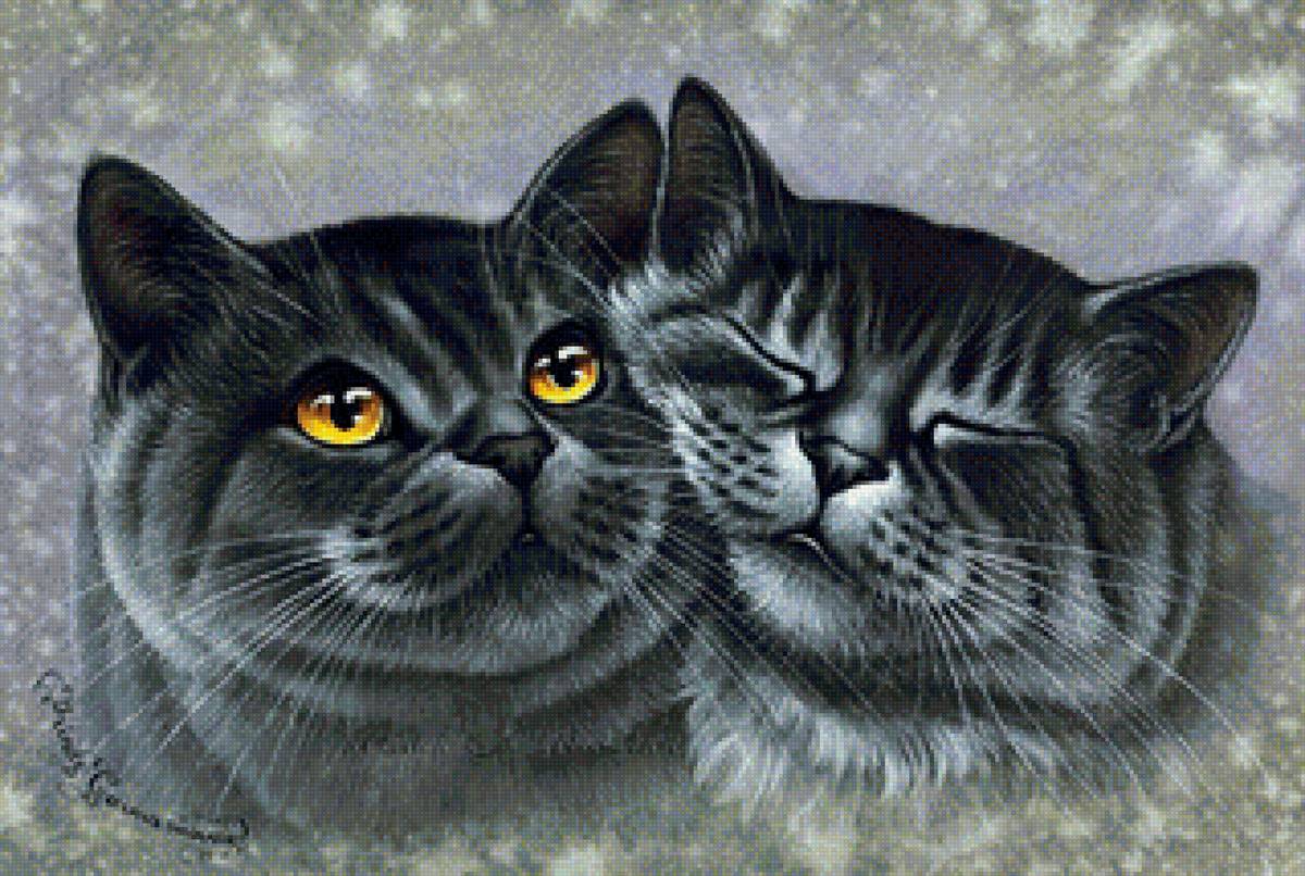 кот - портрет, животные, кот - предпросмотр