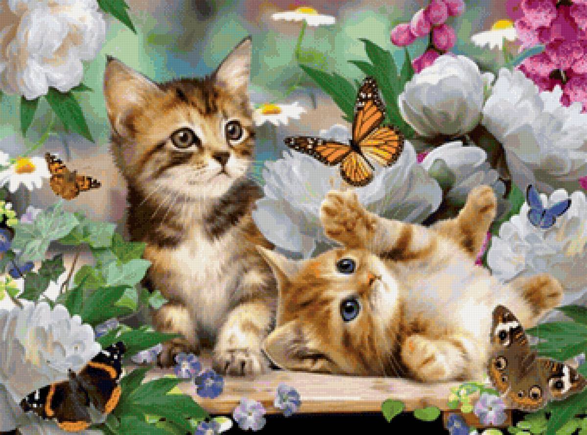 кот - животные, портрет, кот - предпросмотр